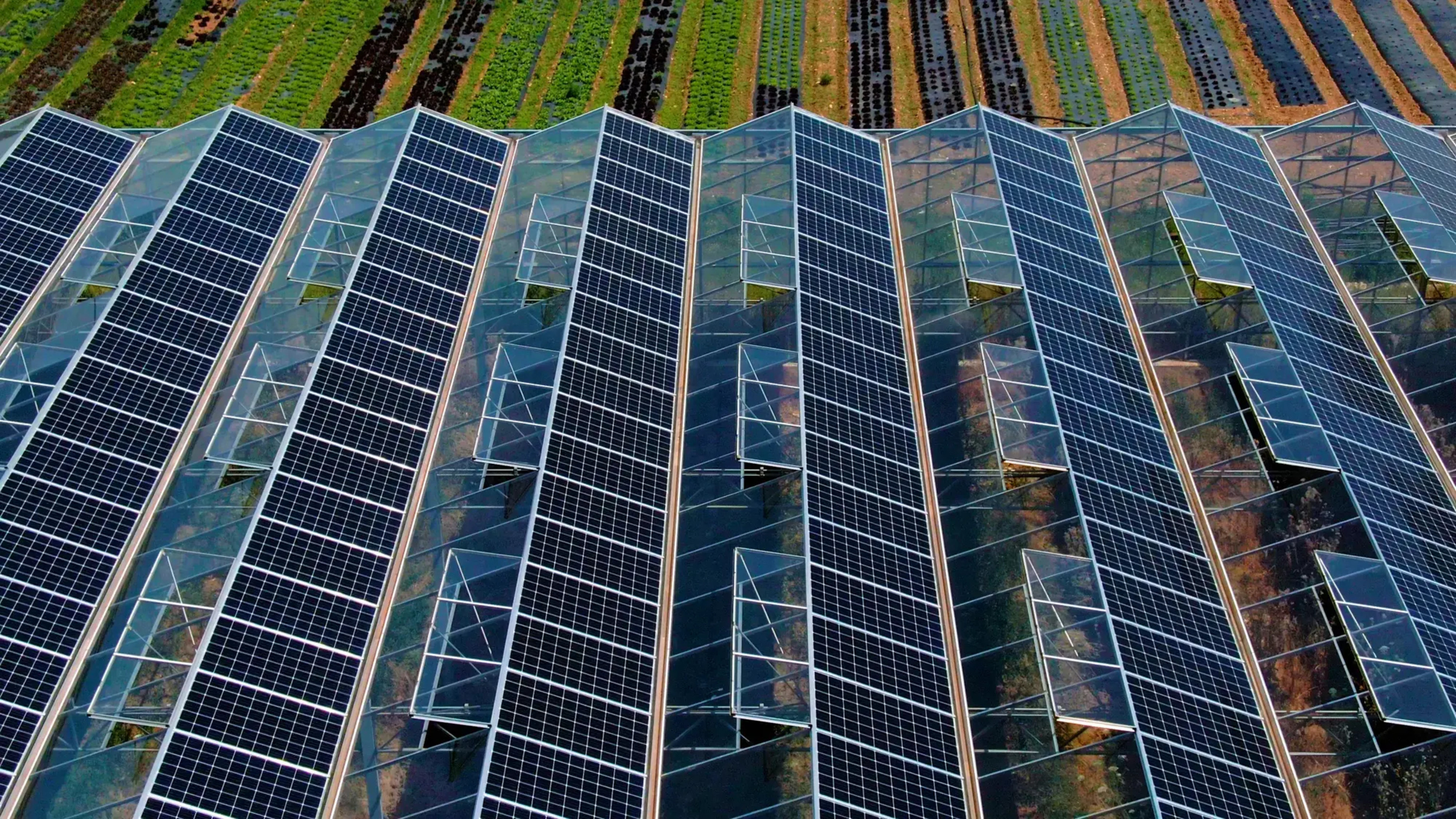 La serre photovoltaïque apparaît comme une solution durable pour les agriculteurs © Technique Solaire